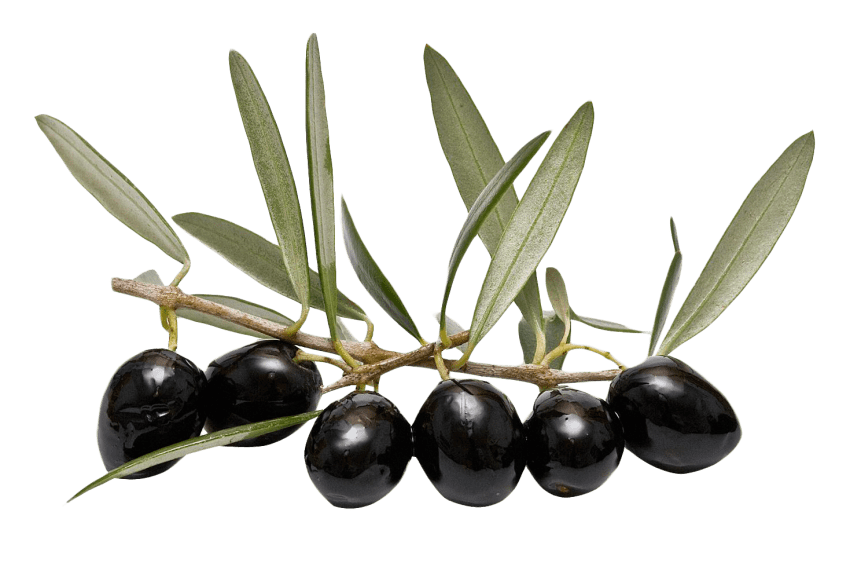 PRODUITS-corse PRODUITS-corse